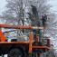 PHOTO-2021-02-19-13-53-02 (4)